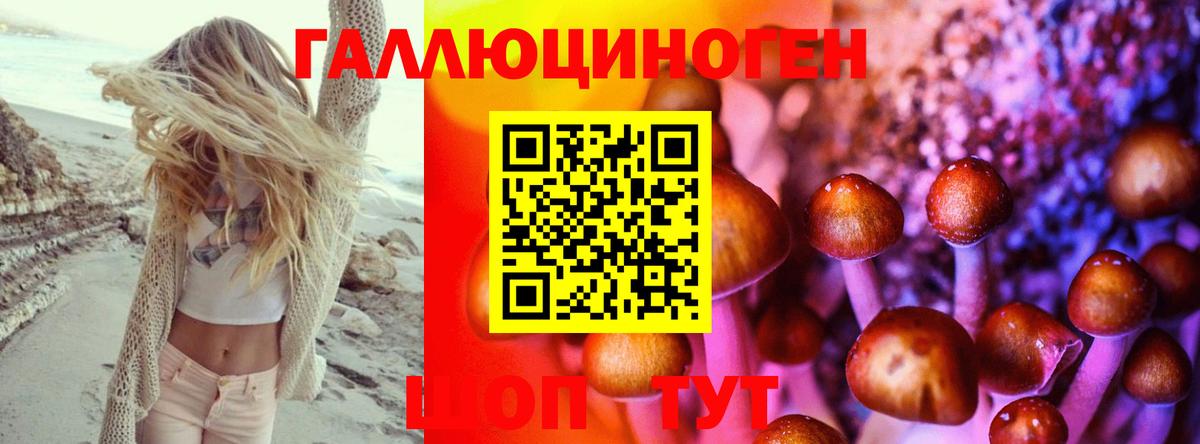 Псилоцибиновые грибы Psilocybine cubensis  Псилоцибиновые грибы ЛСД  Железноводск  Вход с VPN 